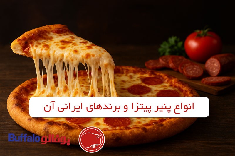 انواع پنیر پیتزا و برندهای ایرانی آن